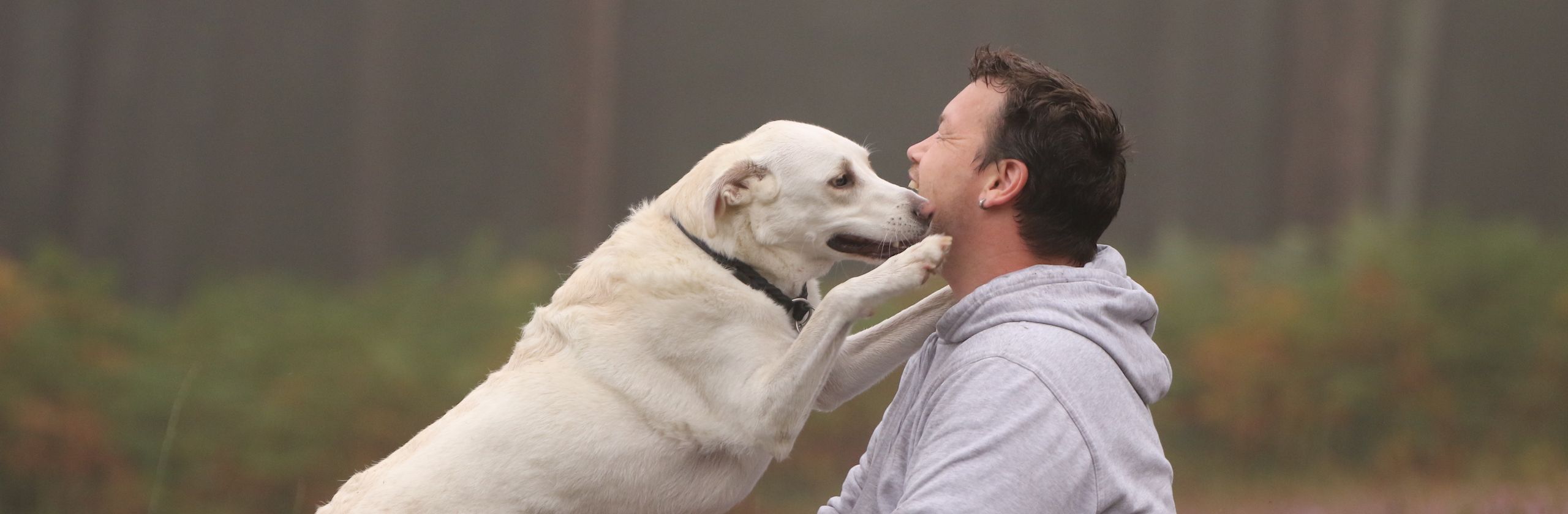 Hundetraining in Marl und Umgebung