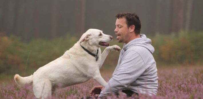Ausbildung zum Hundetrainer