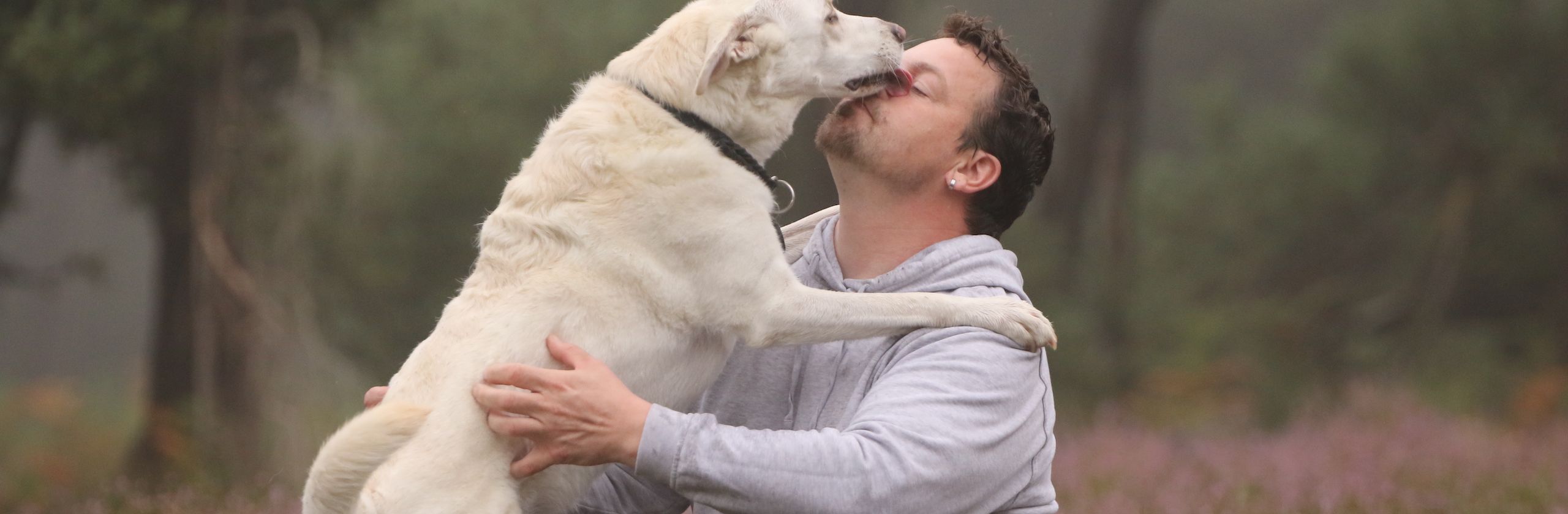 Deine Ausbildung zum Hundetrainer - TOP-DOGS Marl